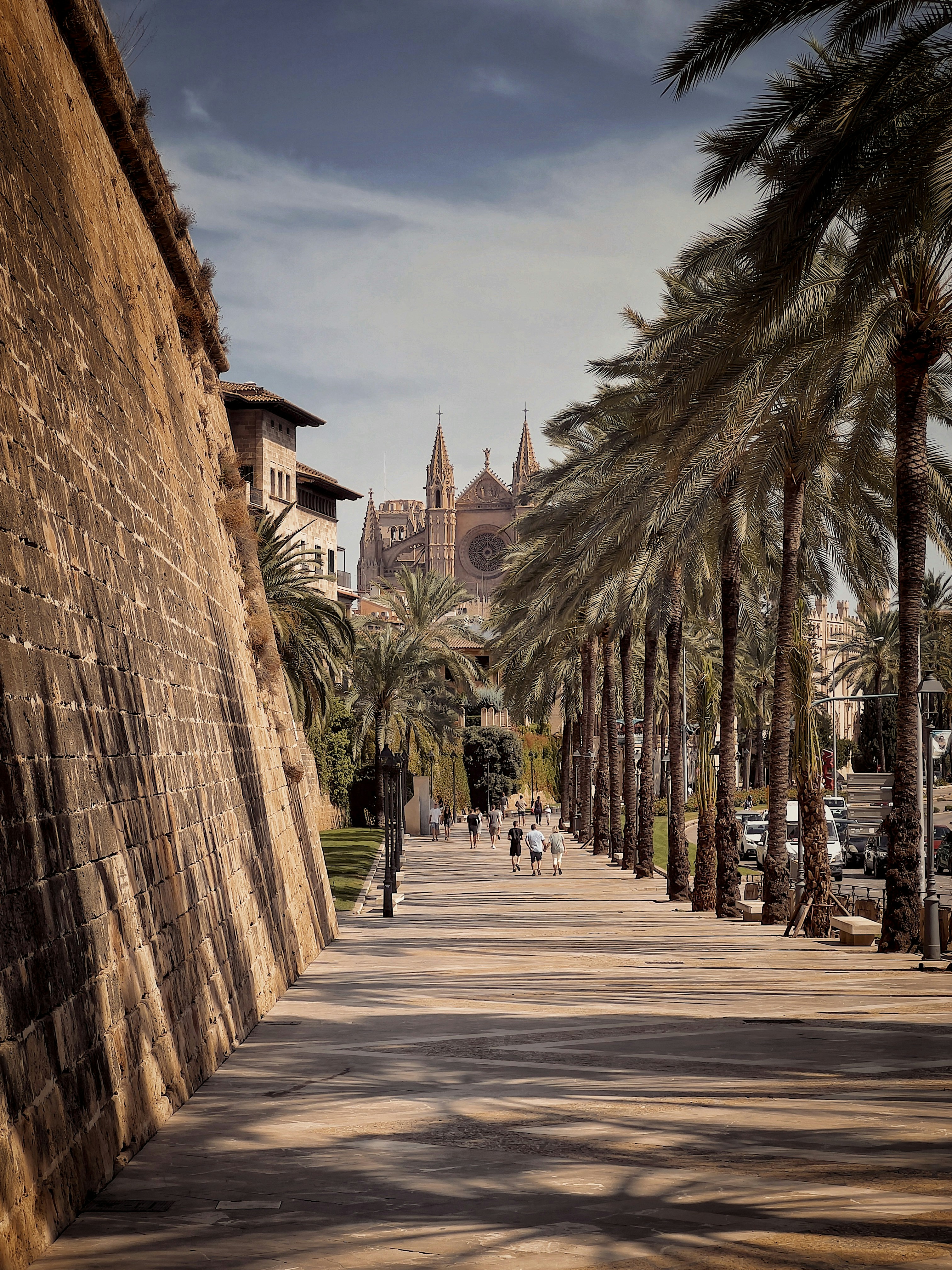 Palma cathedral and the old town lit up at sunset